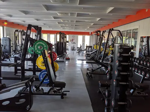 Det skapar Harmoni o balans.Här hos oss kan du välja vilken period på året, i ditt liv som du känner är bäst för dig.Adrian Eriksson Skapade GymKarta.Se och alla Gym med Premium - abonnemang blir SEO-Optimerade av Martin Maximus SEO - (Sökmotoroptimerade).X-FORCE – UNIK TRÄNINGSMETODDen nya världsunika och patenterade svenska uppfinningen X-Force är en träningsmaskin som ökar den negativa belastningen med 40 %.Detta gör att du som användare kan träna betydligt kortare tid och få större effekt med garanterat bättre resultat, endast 6 – 12 repetitioner per maskin var 7 – 14 dagar.Varför negativ träning?Negativ träning har många fördelar.Musklerna kan arbeta med betydligt högre belastning excentriskt än koncentrisk och en tyngre last innebär också effektivare träning med snabbare resultat.För att förbättra muskelstyrkan överbelastar du muskeln och om den excentriska lasten är större tröttar du ut muskeln snabbare.Excentrisk träning kräver mindre syre än koncentrisk vilket påfrestar hjärtat mindre men ökar blodtrycket.Här är de 15st mest sökta gymmen på GymKarta i Juli 2023Nordic Wellness Lindholmen på Lindholmsallén 20 i GöteborgSATS Gamlestaden på Gamlestadstorget 7 i GöteborgSTC Sävedalen - Göteborgsvägen 104 - GymKarta.seSTC munkebäck på Munkebäcks Allé 26 i GöteborgNordic Wellness Göteborg Kviberg Arena - GymKarta.seNordic Wellness Kungälv Kongahälla - GymKarta.seActic Lerum - Vattenpalatset på Häradsvägen 3 i Lerum&nbsp;Maximus Gym Brunnsbo på Folkvisegatan 15 i GöteborgSATS Hovås på Björklundabacken 2 i Hovås - GymKarta.seNordic Wellness Backaplan på Gustaf Dalénsgatan 13Fitness24Seven på Lergöksgatan 6 i Västra FrölundaSATS Askim (Sisjön stora) på Ekonomivägen 6 i AskimSTC på Ekenleden 10 i Kållered - GymKarta.seNordic Wellness Marklandsgatan - GymKarta.seNordic Wellness på Vasagatan 7 i Göteborg
