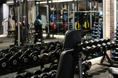 Det skapar Harmoni o balans.Här hos oss kan du välja vilken period på året, i ditt liv som du känner är bäst för dig.Adrian Eriksson Skapade GymKarta.Se och alla Gym med Premium - abonnemang blir SEO-Optimerade av Martin Maximus SEO - (Sökmotoroptimerade).X-FORCE – UNIK TRÄNINGSMETODDen nya världsunika och patenterade svenska uppfinningen X-Force är en träningsmaskin som ökar den negativa belastningen med 40 %.Detta gör att du som användare kan träna betydligt kortare tid och få större effekt med garanterat bättre resultat, endast 6 – 12 repetitioner per maskin var 7 – 14 dagar.Varför negativ träning?Negativ träning har många fördelar.Musklerna kan arbeta med betydligt högre belastning excentriskt än koncentrisk och en tyngre last innebär också effektivare träning med snabbare resultat.För att förbättra muskelstyrkan överbelastar du muskeln och om den excentriska lasten är större tröttar du ut muskeln snabbare.Excentrisk träning kräver mindre syre än koncentrisk vilket påfrestar hjärtat mindre men ökar blodtrycket.Här är de 15st mest sökta gymmen på GymKarta i Juli 2023Nordic Wellness Lindholmen på Lindholmsallén 20 i GöteborgSATS Gamlestaden på Gamlestadstorget 7 i GöteborgSTC Sävedalen - Göteborgsvägen 104 - GymKarta.seSTC munkebäck på Munkebäcks Allé 26 i GöteborgNordic Wellness Göteborg Kviberg Arena - GymKarta.seNordic Wellness Kungälv Kongahälla - GymKarta.seActic Lerum - Vattenpalatset på Häradsvägen 3 i Lerum&nbsp;Maximus Gym Brunnsbo på Folkvisegatan 15 i GöteborgSATS Hovås på Björklundabacken 2 i Hovås - GymKarta.seNordic Wellness Backaplan på Gustaf Dalénsgatan 13Fitness24Seven på Lergöksgatan 6 i Västra FrölundaSATS Askim (Sisjön stora) på Ekonomivägen 6 i AskimSTC på Ekenleden 10 i Kållered - GymKarta.seNordic Wellness Marklandsgatan - GymKarta.seNordic Wellness på Vasagatan 7 i Göteborg