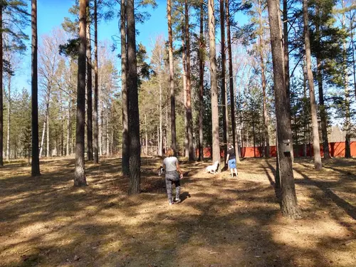 Det skapar Harmoni o balans.Här hos oss kan du välja vilken period på året, i ditt liv som du känner är bäst för dig.Adrian Eriksson Skapade GymKarta.Se och alla Gym med Premium - abonnemang blir SEO-Optimerade av Martin Maximus SEO - (Sökmotoroptimerade).X-FORCE – UNIK TRÄNINGSMETODDen nya världsunika och patenterade svenska uppfinningen X-Force är en träningsmaskin som ökar den negativa belastningen med 40 %.Detta gör att du som användare kan träna betydligt kortare tid och få större effekt med garanterat bättre resultat, endast 6 – 12 repetitioner per maskin var 7 – 14 dagar.Varför negativ träning?Negativ träning har många fördelar.Musklerna kan arbeta med betydligt högre belastning excentriskt än koncentrisk och en tyngre last innebär också effektivare träning med snabbare resultat.För att förbättra muskelstyrkan överbelastar du muskeln och om den excentriska lasten är större tröttar du ut muskeln snabbare.Excentrisk träning kräver mindre syre än koncentrisk vilket påfrestar hjärtat mindre men ökar blodtrycket.Här är de 15st mest sökta gymmen på GymKarta i Juli 2023Nordic Wellness Lindholmen på Lindholmsallén 20 i GöteborgSATS Gamlestaden på Gamlestadstorget 7 i GöteborgSTC Sävedalen - Göteborgsvägen 104 - GymKarta.seSTC munkebäck på Munkebäcks Allé 26 i GöteborgNordic Wellness Göteborg Kviberg Arena - GymKarta.seNordic Wellness Kungälv Kongahälla - GymKarta.seActic Lerum - Vattenpalatset på Häradsvägen 3 i Lerum&nbsp;Maximus Gym Brunnsbo på Folkvisegatan 15 i GöteborgSATS Hovås på Björklundabacken 2 i Hovås - GymKarta.seNordic Wellness Backaplan på Gustaf Dalénsgatan 13Fitness24Seven på Lergöksgatan 6 i Västra FrölundaSATS Askim (Sisjön stora) på Ekonomivägen 6 i AskimSTC på Ekenleden 10 i Kållered - GymKarta.seNordic Wellness Marklandsgatan - GymKarta.seNordic Wellness på Vasagatan 7 i Göteborg