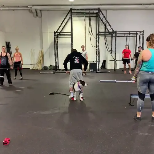 Här är de 15st mest sökta gymmen på GymKarta i Juli 2023Nordic Wellness Lindholmen på Lindholmsallén 20 i GöteborgSATS Gamlestaden på Gamlestadstorget 7 i GöteborgSTC Sävedalen - Göteborgsvägen 104 - GymKarta.seSTC munkebäck på Munkebäcks Allé 26 i GöteborgNordic Wellness Göteborg Kviberg Arena - GymKarta.seNordic Wellness Kungälv Kongahälla - GymKarta.seActic Lerum - Vattenpalatset på Häradsvägen 3 i Lerum&nbsp;Maximus Gym Brunnsbo på Folkvisegatan 15 i GöteborgSATS Hovås på Björklundabacken 2 i Hovås - GymKarta.seNordic Wellness Backaplan på Gustaf Dalénsgatan 13Fitness24Seven på Lergöksgatan 6 i Västra FrölundaSATS Askim (Sisjön stora) på Ekonomivägen 6 i AskimSTC på Ekenleden 10 i Kållered - GymKarta.seNordic Wellness Marklandsgatan - GymKarta.seNordic Wellness på Vasagatan 7 i Göteborg