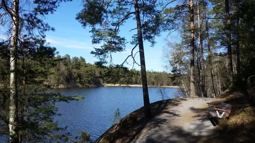 X-FORCE – UNIK TRÄNINGSMETODDen nya världsunika och patenterade svenska uppfinningen X-Force är en träningsmaskin som ökar den negativa belastningen med 40 %.Detta gör att du som användare kan träna betydligt kortare tid och få större effekt med garanterat bättre resultat, endast 6 – 12 repetitioner per maskin var 7 – 14 dagar.Varför negativ träning?Negativ träning har många fördelar.Musklerna kan arbeta med betydligt högre belastning excentriskt än koncentrisk och en tyngre last innebär också effektivare träning med snabbare resultat.För att förbättra muskelstyrkan överbelastar du muskeln och om den excentriska lasten är större tröttar du ut muskeln snabbare.Excentrisk träning kräver mindre syre än koncentrisk vilket påfrestar hjärtat mindre men ökar blodtrycket.Här är de 15st mest sökta gymmen på GymKarta i Juli 2023Nordic Wellness Lindholmen på Lindholmsallén 20 i GöteborgSATS Gamlestaden på Gamlestadstorget 7 i GöteborgSTC Sävedalen - Göteborgsvägen 104 - GymKarta.seSTC munkebäck på Munkebäcks Allé 26 i GöteborgNordic Wellness Göteborg Kviberg Arena - GymKarta.seNordic Wellness Kungälv Kongahälla - GymKarta.seActic Lerum - Vattenpalatset på Häradsvägen 3 i Lerum&nbsp;Maximus Gym Brunnsbo på Folkvisegatan 15 i GöteborgSATS Hovås på Björklundabacken 2 i Hovås - GymKarta.seNordic Wellness Backaplan på Gustaf Dalénsgatan 13Fitness24Seven på Lergöksgatan 6 i Västra FrölundaSATS Askim (Sisjön stora) på Ekonomivägen 6 i AskimSTC på Ekenleden 10 i Kållered - GymKarta.seNordic Wellness Marklandsgatan - GymKarta.seNordic Wellness på Vasagatan 7 i Göteborg