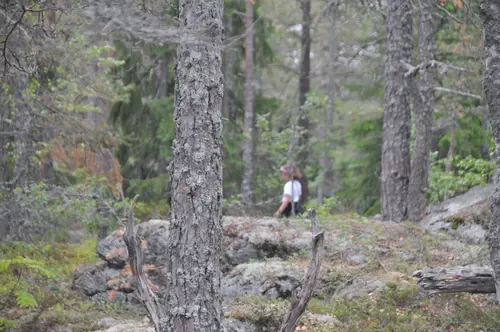 Det skapar Harmoni o balans.Här hos oss kan du välja vilken period på året, i ditt liv som du känner är bäst för dig.Adrian Eriksson Skapade GymKarta.Se och alla Gym med Premium - abonnemang blir SEO-Optimerade av Martin Maximus SEO - (Sökmotoroptimerade).X-FORCE – UNIK TRÄNINGSMETODDen nya världsunika och patenterade svenska uppfinningen X-Force är en träningsmaskin som ökar den negativa belastningen med 40 %.Detta gör att du som användare kan träna betydligt kortare tid och få större effekt med garanterat bättre resultat, endast 6 – 12 repetitioner per maskin var 7 – 14 dagar.Varför negativ träning?Negativ träning har många fördelar.Musklerna kan arbeta med betydligt högre belastning excentriskt än koncentrisk och en tyngre last innebär också effektivare träning med snabbare resultat.För att förbättra muskelstyrkan överbelastar du muskeln och om den excentriska lasten är större tröttar du ut muskeln snabbare.Excentrisk träning kräver mindre syre än koncentrisk vilket påfrestar hjärtat mindre men ökar blodtrycket.Här är de 15st mest sökta gymmen på GymKarta i Juli 2023Nordic Wellness Lindholmen på Lindholmsallén 20 i GöteborgSATS Gamlestaden på Gamlestadstorget 7 i GöteborgSTC Sävedalen - Göteborgsvägen 104 - GymKarta.seSTC munkebäck på Munkebäcks Allé 26 i GöteborgNordic Wellness Göteborg Kviberg Arena - GymKarta.seNordic Wellness Kungälv Kongahälla - GymKarta.seActic Lerum - Vattenpalatset på Häradsvägen 3 i Lerum&nbsp;Maximus Gym Brunnsbo på Folkvisegatan 15 i GöteborgSATS Hovås på Björklundabacken 2 i Hovås - GymKarta.seNordic Wellness Backaplan på Gustaf Dalénsgatan 13Fitness24Seven på Lergöksgatan 6 i Västra FrölundaSATS Askim (Sisjön stora) på Ekonomivägen 6 i AskimSTC på Ekenleden 10 i Kållered - GymKarta.seNordic Wellness Marklandsgatan - GymKarta.seNordic Wellness på Vasagatan 7 i Göteborg