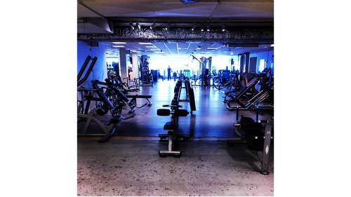 Varmt välkommen till StarGym - VI HAR ALLT FÖR DIN TRÄNINGHos oss hittar du träningsglädjen, oavsett om du tränar på elitnivå eller som glad motionärOch det ska alltid vara kul att träna!Människor i alla åldrar och med olika förutsättningar hittar till oss, så häng med&nbsp;DU&nbsp;också!Våra anläggningar är öppna dygnet runt för att tillgodose allas behov och kunna ge frihet till våra medlemmar.Våra städerSundsvallHärnösandÖ-vikTimråSkellefteåHolmsundKÖPMANGATAN 14 (SUNDSVALL CITY)Gymmet på Köpmangatan 14 är då den största och första anläggningen i raden av Star Gym som har öppnat.Här lades grunden och gymmet öppnades 26 Maj 2012.En väl tilltagen maskinpark från Matrix, Strenght, Gym Leco och Nordic Gym.Utbyggnad med HIIT-koncept finns att nyttja för alla medlemmar.Personal finns på plats måndag-fredag.Vid entrédörren finns skylt med qr-kod samt webadress som scannas eller besöks för registrering och köp av engångsträning.Efter slutförd registrering och betalning anländer ett sms med kod som fungerar för ett inlogg under det dygnet.Gymmet är öppet 24/7 för dig som är medlem.VARBERGSVÄGEN 6 (GRANLOHOLM)I Granloholms hjärta ligger denna charmiga anläggning granne med ICABra utrustat gym med det väsentliga för ett bra gympass!Vid entrédörren finns skylt med qr-kod samt webadress som scannas eller besöks för registrering och köp av engångsträning.Efter slutförd registrering och betalning anländer ett sms med kod som fungerar för ett inlogg under det dygnet.​​​​​​​Gymmet är öppet 24/7 för dig som är medlem!AXVÄGEN 16 (NACKSTA)Flytten till Axvägen blev en hit! Nu, ca 100kvm större, kan vi erbjuda ett mer tillgängligt gym för alla våra medlemmarVäl utrustat gym med öppna ytor och ett eget kryp in för stretch och kroppsövningar.Välkommen till Star Gym i Nacksta!Vid entrédörren finns skylt med qr-kod samt webadress som scannas eller besöks för registrering och köp av engångsträning.Efter slutförd registrering och betalning anländer ett sms med kod som fungerar för ett inlogg under det dygnet.Gymmet är öppet 24/7 för dig som är medlem.AFFÄRSGATAN 18 (KVISSLEBY)Aldrig har vi haft så stort intresse inför en nyöppning, här i Kvissleby har vi blivit mottagen med öppna armar!Gymmet är fullt utrustat med en generös maskinpark och fria vikter.Även hjärtat tillsammans med konditionen kan få sin träning här med bra utbud på konditionsmaskiner.Vid entrédörren finns skylt med qr-kod samt webadress som scannas eller besöks för registrering och köp av engångsträning.Efter slutförd registrering och betalning anländer ett sms med kod som fungerar för ett inlogg under det dygnet.​​​​​​​Gymmet är öppet 24/7 för dig som medlem.EKENÄSVÄGEN 1 (SUNDSBRUK)Denna charmiga lilla anläggning innehåller allt man behöver för ett bra träningspassEnkelt att parkera direkt utanför för dig som vill ta bilen.Vid entrédörren finns skylt med qr-kod samt webadress som scannas eller besöks för registrering och köp av engångsträning.Efter slutförd registrering och betalning anländer ett sms med kod som fungerar för ett inlogg under det dygnet.Gymmet är öppet 24/7 för dig som är medlem.RÄNNÖVÄGEN 1 (MATFORS)Efter mycket om och men lyckades vi tillslut få till en gedigen anläggning i MatforsRejäl utrustning från Gym80 och konditionspark från Matrix pryder detta gym med högt i tak som ger en bra känsla av rymd.Vid entrédörren finns skylt med qr-kod samt webadress som scannas eller besöks för registrering och köp av engångsträning.Efter slutförd registrering och betalning anländer ett sms med kod som fungerar för ett inlogg under det dygnet.​Gymmet är öppet 24/7 för dig som är medlem.RAHOLMSVÄGEN 100B (ALNÖ)På den södra delen av ön, öppnade vi under hösten 2022 i området vid gamla Permobil425kvm utrustningsmässigt maxad anläggning, med maskiner från Thor Fitness, Star Trac och Casall.Vid entrédörren finns skylt med qr-kod samt webadress som scannas eller besöks för registrering och köp av engångsträning.Efter slutförd registrering och betalning anländer ett sms med kod som fungerar för ett inlogg under det dygnet.Gymmet är öppet 24/7 för dig som är medlem.ORTVIKSVÄGEN 2 (SKÖNSBERG, E4-RONDELLEN)Vintern 2023 kunde vi äntligen öppna!&nbsp;Fri parkering med ingång mot brofästetAnläggningen, på två plan är 700kvm och utrustad för att kunna träna både styrka och kondition, allt med fantastisk utsikt.Här finns också öppna ytor för funktionell träning.&nbsp;Vid entrédörren finns skylt med qr-kod samt webadress som scannas eller besöks för registrering och köp av engångsträning.Efter slutförd registrering och betalning anländer ett sms med kod som fungerar för ett inlogg under det dygnet.Gymmet är öppet 24/7 för dig som är medlem.Här är de 15st mest sökta gymmen på GymKarta i Juli 2023Nordic Wellness Lindholmen på Lindholmsallén 20 i GöteborgSATS Gamlestaden på Gamlestadstorget 7 i GöteborgSTC Sävedalen - Göteborgsvägen 104 - GymKarta.seSTC munkebäck på Munkebäcks Allé 26 i GöteborgNordic Wellness Göteborg Kviberg Arena - GymKarta.seNordic Wellness Kungälv Kongahälla - GymKarta.seActic Lerum - Vattenpalatset på Häradsvägen 3 i Lerum&nbsp;Maximus Gym Brunnsbo på Folkvisegatan 15 i GöteborgSATS Hovås på Björklundabacken 2 i Hovås - GymKarta.seNordic Wellness Backaplan på Gustaf Dalénsgatan 13Fitness24Seven på Lergöksgatan 6 i Västra FrölundaSATS Askim (Sisjön stora) på Ekonomivägen 6 i AskimSTC på Ekenleden 10 i Kållered - GymKarta.seNordic Wellness Marklandsgatan - GymKarta.seNordic Wellness på Vasagatan 7 i Göteborg