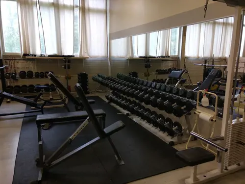 X-FORCE – UNIK TRÄNINGSMETODDen nya världsunika och patenterade svenska uppfinningen X-Force är en träningsmaskin som ökar den negativa belastningen med 40 %.Detta gör att du som användare kan träna betydligt kortare tid och få större effekt med garanterat bättre resultat, endast 6 – 12 repetitioner per maskin var 7 – 14 dagar.Varför negativ träning?Negativ träning har många fördelar.Musklerna kan arbeta med betydligt högre belastning excentriskt än koncentrisk och en tyngre last innebär också effektivare träning med snabbare resultat.För att förbättra muskelstyrkan överbelastar du muskeln och om den excentriska lasten är större tröttar du ut muskeln snabbare.Excentrisk träning kräver mindre syre än koncentrisk vilket påfrestar hjärtat mindre men ökar blodtrycket.Här är de 15st mest sökta gymmen på GymKarta i Juli 2023Nordic Wellness Lindholmen på Lindholmsallén 20 i GöteborgSATS Gamlestaden på Gamlestadstorget 7 i GöteborgSTC Sävedalen - Göteborgsvägen 104 - GymKarta.seSTC munkebäck på Munkebäcks Allé 26 i GöteborgNordic Wellness Göteborg Kviberg Arena - GymKarta.seNordic Wellness Kungälv Kongahälla - GymKarta.seActic Lerum - Vattenpalatset på Häradsvägen 3 i Lerum&nbsp;Maximus Gym Brunnsbo på Folkvisegatan 15 i GöteborgSATS Hovås på Björklundabacken 2 i Hovås - GymKarta.seNordic Wellness Backaplan på Gustaf Dalénsgatan 13Fitness24Seven på Lergöksgatan 6 i Västra FrölundaSATS Askim (Sisjön stora) på Ekonomivägen 6 i AskimSTC på Ekenleden 10 i Kållered - GymKarta.seNordic Wellness Marklandsgatan - GymKarta.seNordic Wellness på Vasagatan 7 i Göteborg