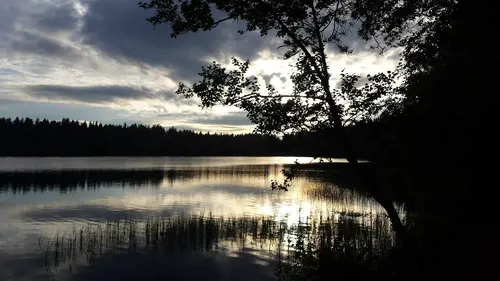 X-FORCE – UNIK TRÄNINGSMETODDen nya världsunika och patenterade svenska uppfinningen X-Force är en träningsmaskin som ökar den negativa belastningen med 40 %.Detta gör att du som användare kan träna betydligt kortare tid och få större effekt med garanterat bättre resultat, endast 6 – 12 repetitioner per maskin var 7 – 14 dagar.Varför negativ träning?Negativ träning har många fördelar.Musklerna kan arbeta med betydligt högre belastning excentriskt än koncentrisk och en tyngre last innebär också effektivare träning med snabbare resultat.För att förbättra muskelstyrkan överbelastar du muskeln och om den excentriska lasten är större tröttar du ut muskeln snabbare.Excentrisk träning kräver mindre syre än koncentrisk vilket påfrestar hjärtat mindre men ökar blodtrycket.Här är de 15st mest sökta gymmen på GymKarta i Juli 2023Nordic Wellness Lindholmen på Lindholmsallén 20 i GöteborgSATS Gamlestaden på Gamlestadstorget 7 i GöteborgSTC Sävedalen - Göteborgsvägen 104 - GymKarta.seSTC munkebäck på Munkebäcks Allé 26 i GöteborgNordic Wellness Göteborg Kviberg Arena - GymKarta.seNordic Wellness Kungälv Kongahälla - GymKarta.seActic Lerum - Vattenpalatset på Häradsvägen 3 i Lerum&nbsp;Maximus Gym Brunnsbo på Folkvisegatan 15 i GöteborgSATS Hovås på Björklundabacken 2 i Hovås - GymKarta.seNordic Wellness Backaplan på Gustaf Dalénsgatan 13Fitness24Seven på Lergöksgatan 6 i Västra FrölundaSATS Askim (Sisjön stora) på Ekonomivägen 6 i AskimSTC på Ekenleden 10 i Kållered - GymKarta.seNordic Wellness Marklandsgatan - GymKarta.seNordic Wellness på Vasagatan 7 i Göteborg